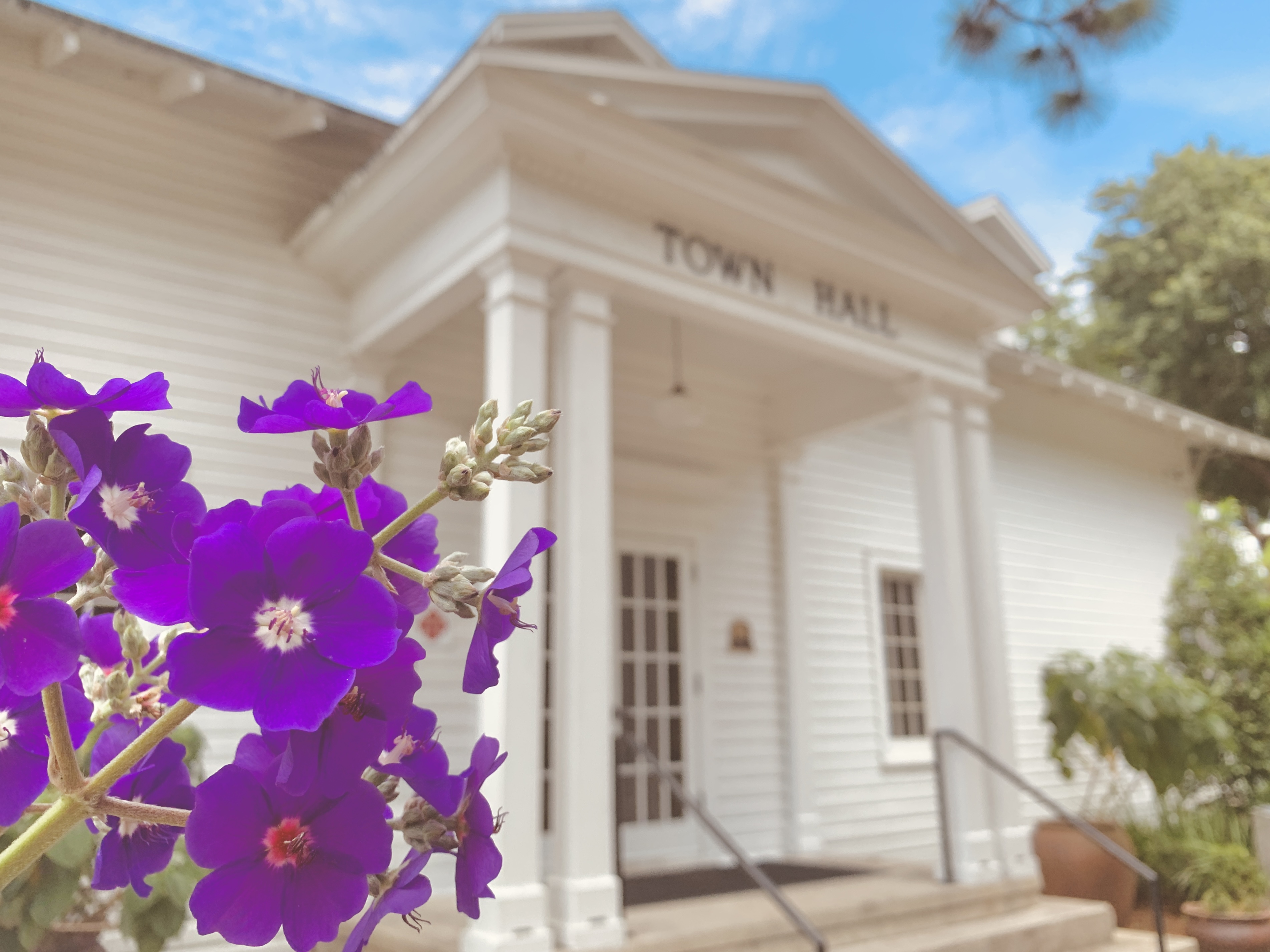 Hard money loans in Windermere, FL